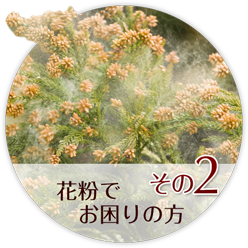 その2 花粉でお困りの方